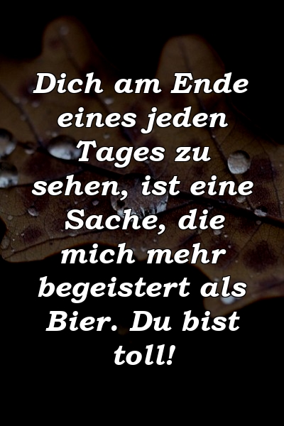 Dich am Ende eines jeden Tages zu sehen, ist eine Sache, die mich mehr begeistert als Bier. Du bist toll!