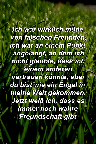 Ich war wirklich müde von falschen Freunden, ich war an einem Punkt angelangt, an dem ich nicht glaubte, dass ich einem anderen vertrauen könnte, aber du bist wie ein Engel in meine Welt gekommen. Jetzt weiß ich, dass es immer noch wahre Freundschaft gibt