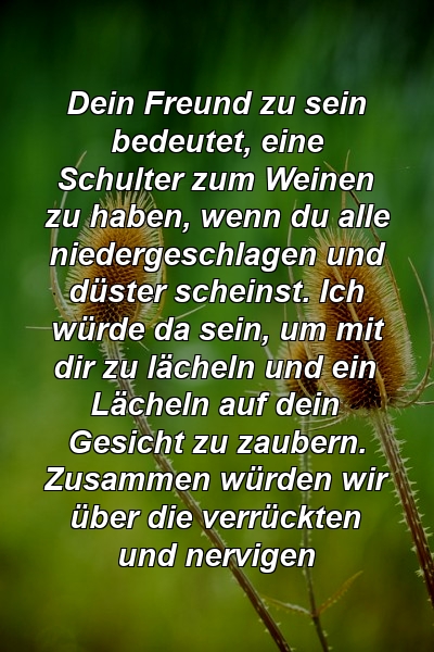 Dein Freund zu sein bedeutet, eine Schulter zum Weinen zu haben, wenn du alle niedergeschlagen und düster scheinst. Ich würde da sein, um mit dir zu lächeln und ein Lächeln auf dein Gesicht zu zaubern. Zusammen würden wir über die verrückten und nervigen 