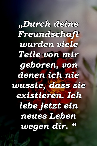 „Durch deine Freundschaft wurden viele Teile von mir geboren, von denen ich nie wusste, dass sie existieren. Ich lebe jetzt ein neues Leben wegen dir. “