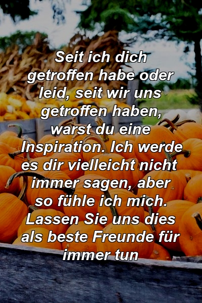 Seit ich dich getroffen habe oder leid, seit wir uns getroffen haben, warst du eine Inspiration. Ich werde es dir vielleicht nicht immer sagen, aber so fühle ich mich. Lassen Sie uns dies als beste Freunde für immer tun