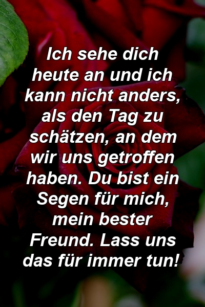 Ich sehe dich heute an und ich kann nicht anders, als den Tag zu schätzen, an dem wir uns getroffen haben. Du bist ein Segen für mich, mein bester Freund. Lass uns das für immer tun!