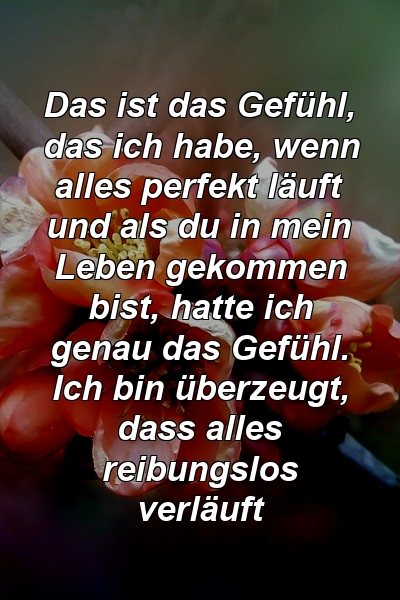 Das ist das Gefühl, das ich habe, wenn alles perfekt läuft und als du in mein Leben gekommen bist, hatte ich genau das Gefühl. Ich bin überzeugt, dass alles reibungslos verläuft