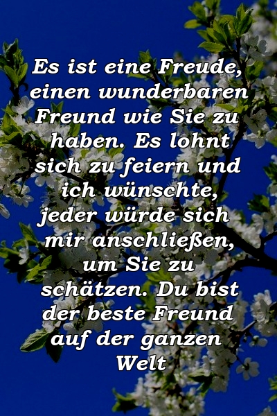 Es ist eine Freude, einen wunderbaren Freund wie Sie zu haben. Es lohnt sich zu feiern und ich wünschte, jeder würde sich mir anschließen, um Sie zu schätzen. Du bist der beste Freund auf der ganzen Welt