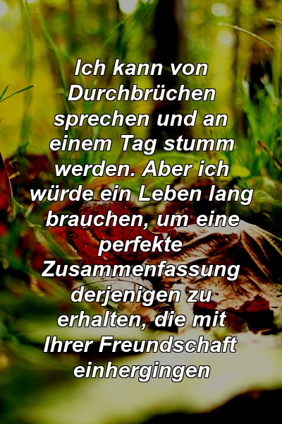 Ich kann von Durchbrüchen sprechen und an einem Tag stumm werden. Aber ich würde ein Leben lang brauchen, um eine perfekte Zusammenfassung derjenigen zu erhalten, die mit Ihrer Freundschaft einhergingen