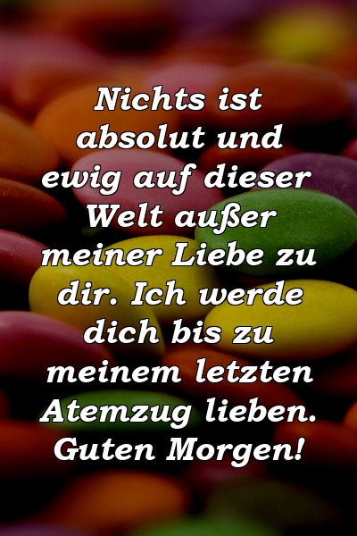 Nichts ist absolut und ewig auf dieser Welt außer meiner Liebe zu dir. Ich werde dich bis zu meinem letzten Atemzug lieben. Guten Morgen!