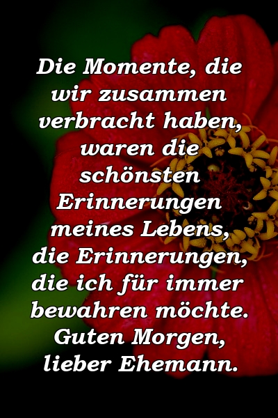 Die Momente, die wir zusammen verbracht haben, waren die schönsten Erinnerungen meines Lebens, die Erinnerungen, die ich für immer bewahren möchte. Guten Morgen, lieber Ehemann.