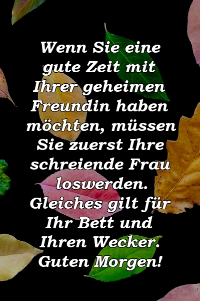 Wenn Sie eine gute Zeit mit Ihrer geheimen Freundin haben möchten, müssen Sie zuerst Ihre schreiende Frau loswerden. Gleiches gilt für Ihr Bett und Ihren Wecker. Guten Morgen!