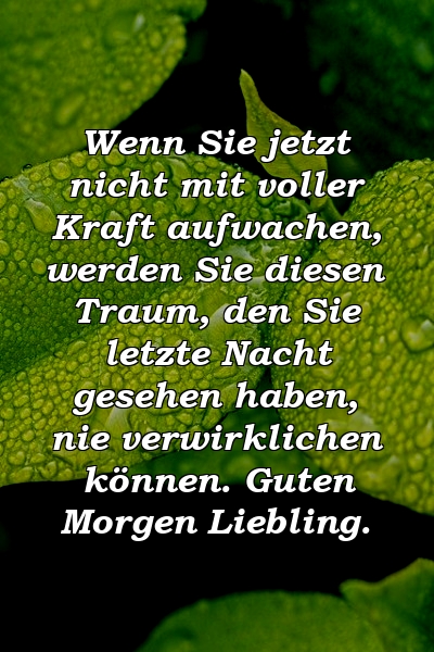 Wenn Sie jetzt nicht mit voller Kraft aufwachen, werden Sie diesen Traum, den Sie letzte Nacht gesehen haben, nie verwirklichen können. Guten Morgen Liebling.