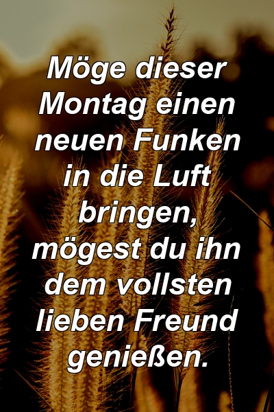 Möge dieser Montag einen neuen Funken in die Luft bringen, mögest du ihn dem vollsten lieben Freund genießen.