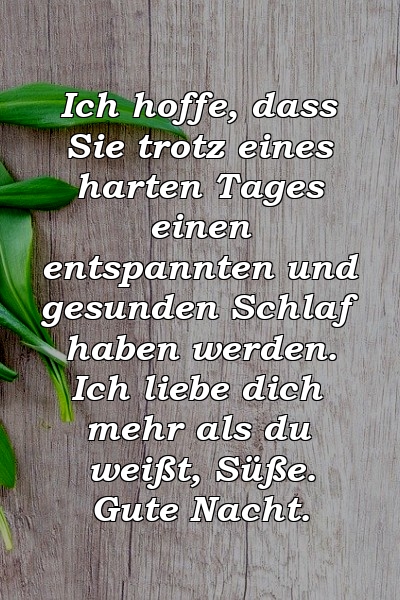 Ich hoffe, dass Sie trotz eines harten Tages einen entspannten und gesunden Schlaf haben werden. Ich liebe dich mehr als du weißt, Süße. Gute Nacht.