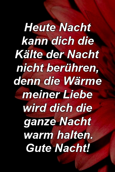 Heute Nacht kann dich die Kälte der Nacht nicht berühren, denn die Wärme meiner Liebe wird dich die ganze Nacht warm halten. Gute Nacht!