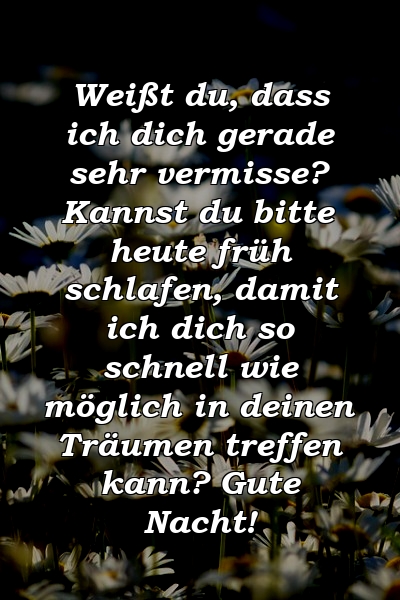 Weißt du, dass ich dich gerade sehr vermisse? Kannst du bitte heute früh schlafen, damit ich dich so schnell wie möglich in deinen Träumen treffen kann? Gute Nacht!