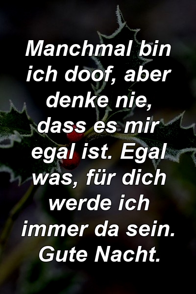 Manchmal bin ich doof, aber denke nie, dass es mir egal ist. Egal was, für dich werde ich immer da sein. Gute Nacht.