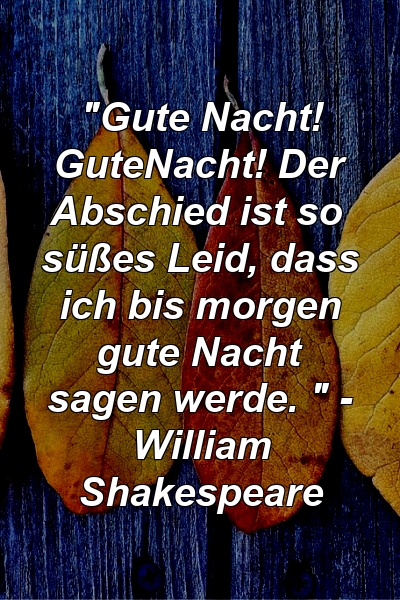 "Gute Nacht! GuteNacht! Der Abschied ist so süßes Leid, dass ich bis morgen gute Nacht sagen werde. " - William Shakespeare