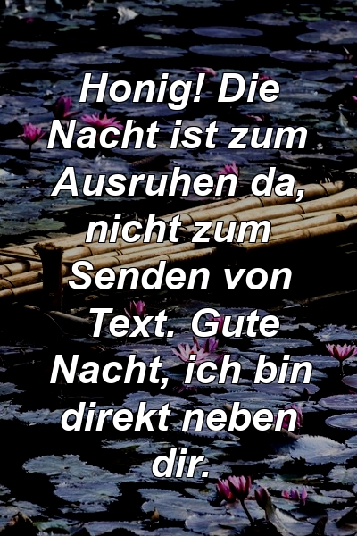 Honig! Die Nacht ist zum Ausruhen da, nicht zum Senden von Text. Gute Nacht, ich bin direkt neben dir.