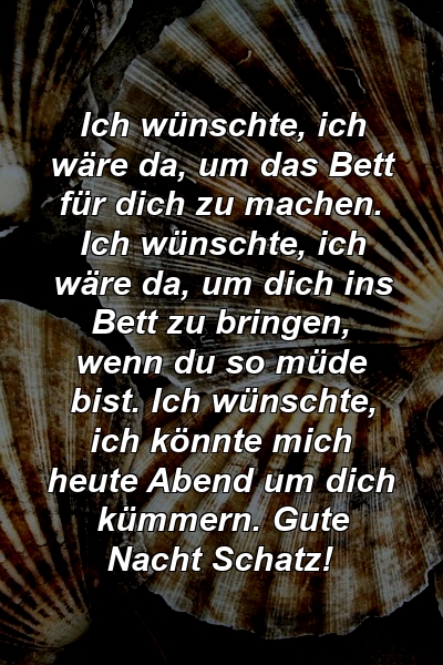 Ich wünschte, ich wäre da, um das Bett für dich zu machen. Ich wünschte, ich wäre da, um dich ins Bett zu bringen, wenn du so müde bist. Ich wünschte, ich könnte mich heute Abend um dich kümmern. Gute Nacht Schatz!