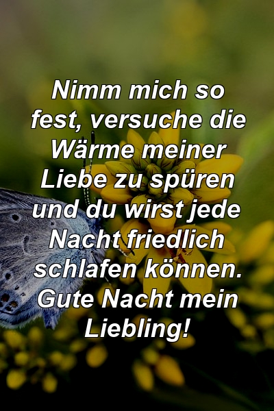 Nimm mich so fest, versuche die Wärme meiner Liebe zu spüren und du wirst jede Nacht friedlich schlafen können. Gute Nacht mein Liebling!