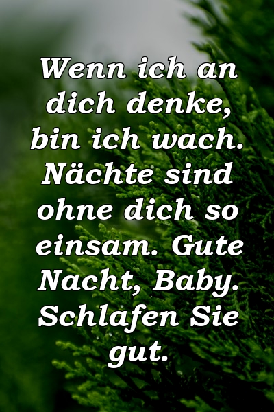 Wenn ich an dich denke, bin ich wach. Nächte sind ohne dich so einsam. Gute Nacht, Baby. Schlafen Sie gut.