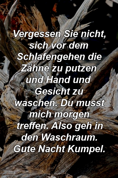 Vergessen Sie nicht, sich vor dem Schlafengehen die Zähne zu putzen und Hand und Gesicht zu waschen. Du musst mich morgen treffen. Also geh in den Waschraum. Gute Nacht Kumpel.