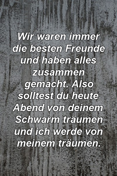 Wir waren immer die besten Freunde und haben alles zusammen gemacht. Also solltest du heute Abend von deinem Schwarm träumen und ich werde von meinem träumen.