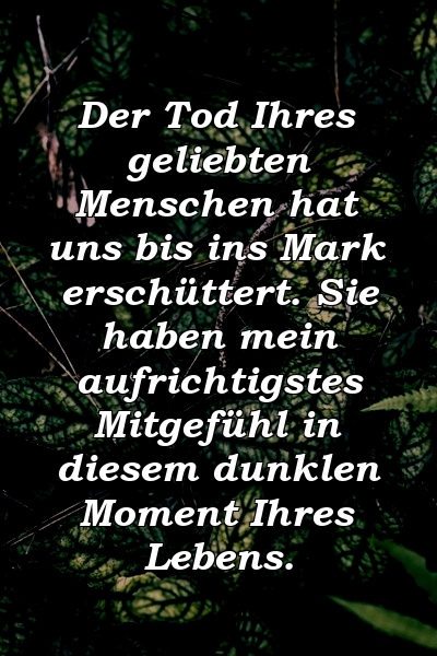 Der Tod Ihres geliebten Menschen hat uns bis ins Mark erschüttert. Sie haben mein aufrichtigstes Mitgefühl in diesem dunklen Moment Ihres Lebens.