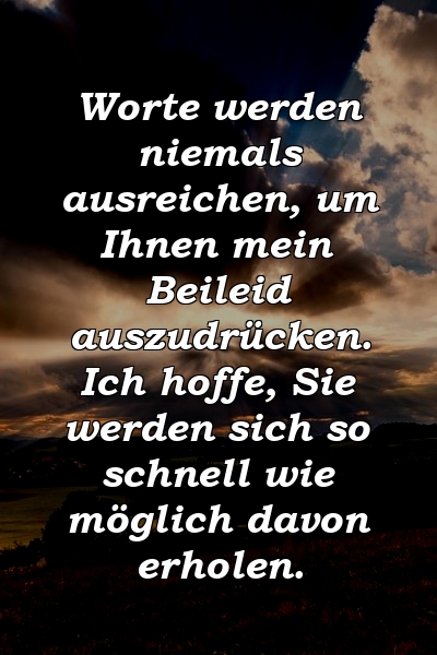 Worte werden niemals ausreichen, um Ihnen mein Beileid auszudrücken. Ich hoffe, Sie werden sich so schnell wie möglich davon erholen.