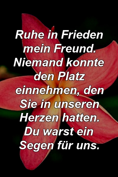 Ruhe in Frieden mein Freund. Niemand konnte den Platz einnehmen, den Sie in unseren Herzen hatten. Du warst ein Segen für uns.