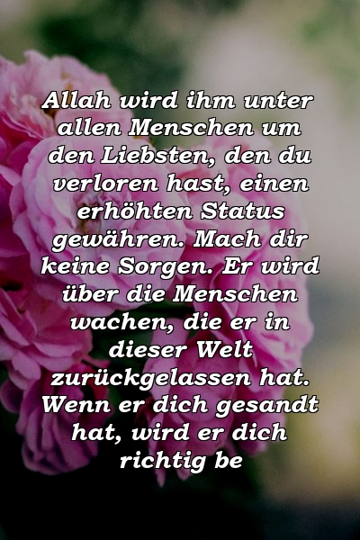 Allah wird ihm unter allen Menschen um den Liebsten, den du verloren hast, einen erhöhten Status gewähren. Mach dir keine Sorgen. Er wird über die Menschen wachen, die er in dieser Welt zurückgelassen hat. Wenn er dich gesandt hat, wird er dich richtig be