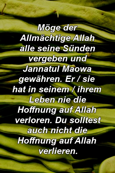 Möge der Allmächtige Allah alle seine Sünden vergeben und Jannatul Maowa gewähren. Er / sie hat in seinem / ihrem Leben nie die Hoffnung auf Allah verloren. Du solltest auch nicht die Hoffnung auf Allah verlieren.