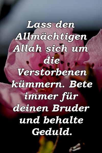 Lass den Allmächtigen Allah sich um die Verstorbenen kümmern. Bete immer für deinen Bruder und behalte Geduld.