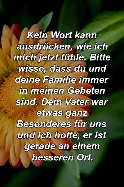 Kein Wort kann ausdrücken, wie ich mich jetzt fühle. Bitte wisse, dass du und deine Familie immer in meinen Gebeten sind. Dein Vater war etwas ganz Besonderes für uns und ich hoffe, er ist gerade an einem besseren Ort.