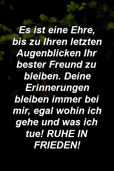 Es ist eine Ehre, bis zu Ihren letzten Augenblicken Ihr bester Freund zu bleiben. Deine Erinnerungen bleiben immer bei mir, egal wohin ich gehe und was ich tue! RUHE IN FRIEDEN!