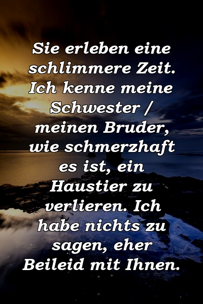 Sie erleben eine schlimmere Zeit. Ich kenne meine Schwester / meinen Bruder, wie schmerzhaft es ist, ein Haustier zu verlieren. Ich habe nichts zu sagen, eher Beileid mit Ihnen.