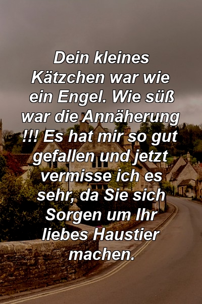 Dein kleines Kätzchen war wie ein Engel. Wie süß war die Annäherung !!! Es hat mir so gut gefallen und jetzt vermisse ich es sehr, da Sie sich Sorgen um Ihr liebes Haustier machen.