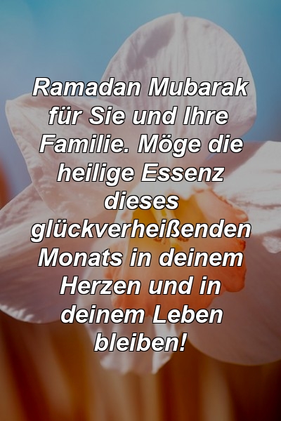Ramadan Mubarak für Sie und Ihre Familie. Möge die heilige Essenz dieses glückverheißenden Monats in deinem Herzen und in deinem Leben bleiben!