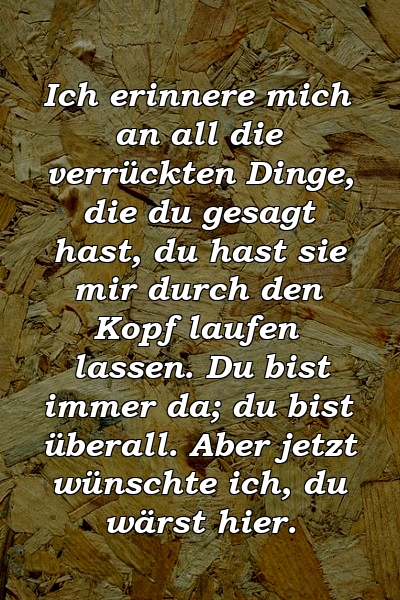 Ich erinnere mich an all die verrückten Dinge, die du gesagt hast, du hast sie mir durch den Kopf laufen lassen. Du bist immer da; du bist überall. Aber jetzt wünschte ich, du wärst hier.