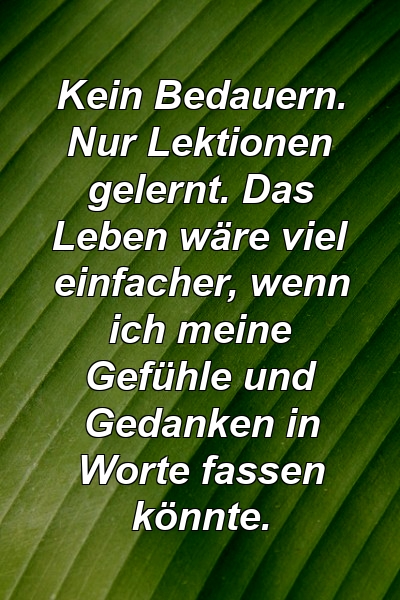 Kein Bedauern. Nur Lektionen gelernt. Das Leben wäre viel einfacher, wenn ich meine Gefühle und Gedanken in Worte fassen könnte.