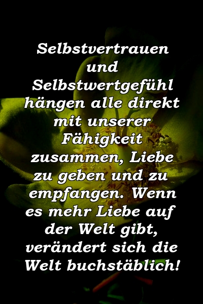 Selbstvertrauen und Selbstwertgefühl hängen alle direkt mit unserer Fähigkeit zusammen, Liebe zu geben und zu empfangen. Wenn es mehr Liebe auf der Welt gibt, verändert sich die Welt buchstäblich!