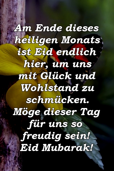 Am Ende dieses heiligen Monats ist Eid endlich hier, um uns mit Glück und Wohlstand zu schmücken. Möge dieser Tag für uns so freudig sein! Eid Mubarak!