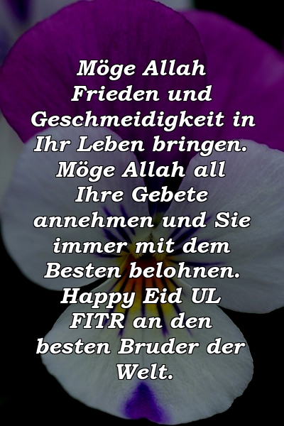 Möge Allah Frieden und Geschmeidigkeit in Ihr Leben bringen. Möge Allah all Ihre Gebete annehmen und Sie immer mit dem Besten belohnen. Happy Eid UL FITR an den besten Bruder der Welt.