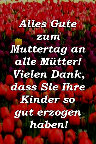 Alles Gute zum Muttertag an alle Mütter! Vielen Dank, dass Sie Ihre Kinder so gut erzogen haben!