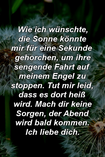 Wie ich wünschte, die Sonne könnte mir für eine Sekunde gehorchen, um ihre sengende Fahrt auf meinem Engel zu stoppen. Tut mir leid, dass es dort heiß wird. Mach dir keine Sorgen, der Abend wird bald kommen. Ich liebe dich.