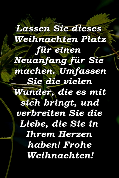 Lassen Sie dieses Weihnachten Platz für einen Neuanfang für Sie machen. Umfassen Sie die vielen Wunder, die es mit sich bringt, und verbreiten Sie die Liebe, die Sie in Ihrem Herzen haben! Frohe Weihnachten!