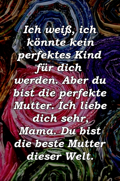 Ich weiß, ich könnte kein perfektes Kind für dich werden. Aber du bist die perfekte Mutter. Ich liebe dich sehr, Mama. Du bist die beste Mutter dieser Welt.