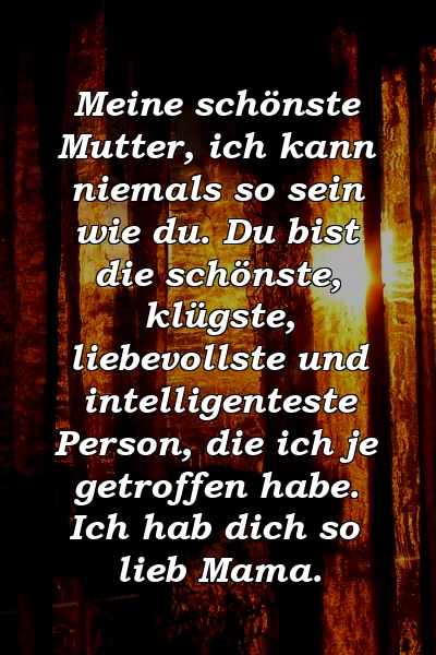 Meine schönste Mutter, ich kann niemals so sein wie du. Du bist die schönste, klügste, liebevollste und intelligenteste Person, die ich je getroffen habe. Ich hab dich so lieb Mama.