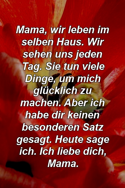 Mama, wir leben im selben Haus. Wir sehen uns jeden Tag. Sie tun viele Dinge, um mich glücklich zu machen. Aber ich habe dir keinen besonderen Satz gesagt. Heute sage ich. Ich liebe dich, Mama.