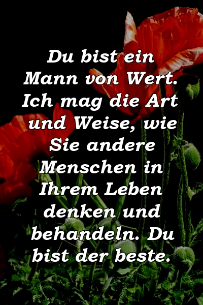 Du bist ein Mann von Wert. Ich mag die Art und Weise, wie Sie andere Menschen in Ihrem Leben denken und behandeln. Du bist der beste.