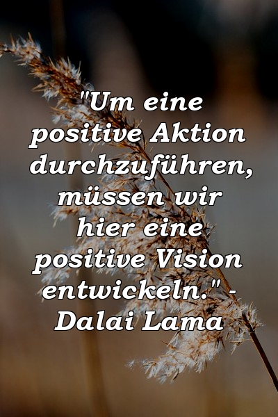 "Um eine positive Aktion durchzuführen, müssen wir hier eine positive Vision entwickeln." - Dalai Lama