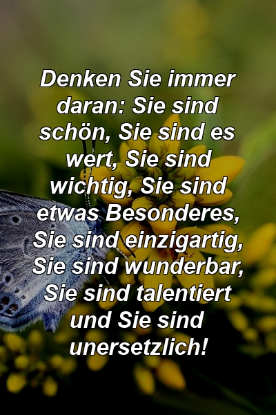 Denken Sie immer daran: Sie sind schön, Sie sind es wert, Sie sind wichtig, Sie sind etwas Besonderes, Sie sind einzigartig, Sie sind wunderbar, Sie sind talentiert und Sie sind unersetzlich!